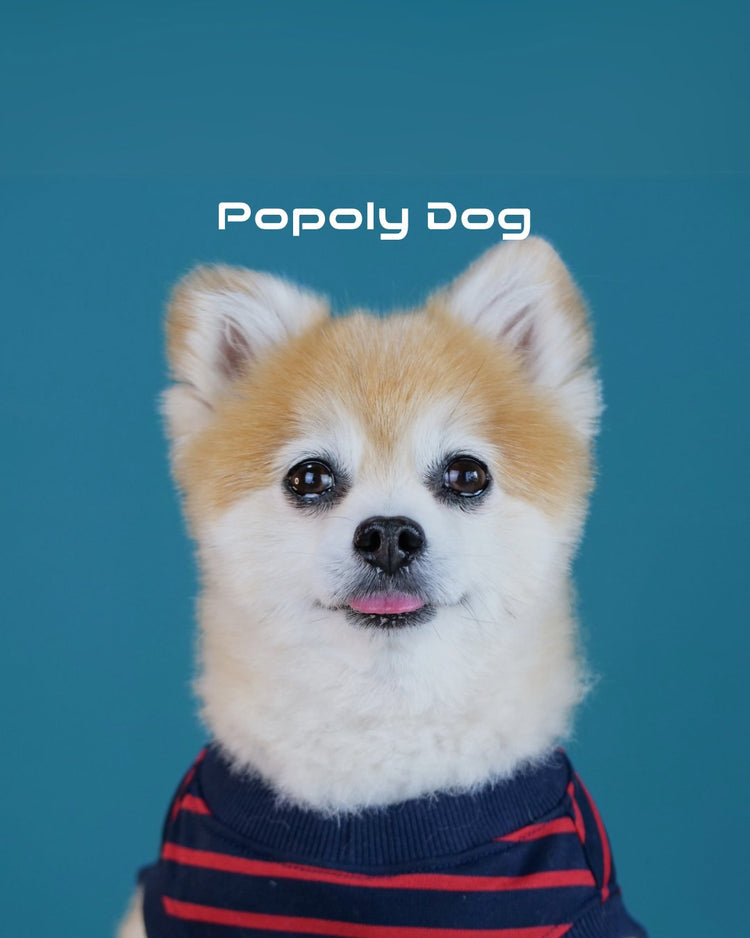 Popoly Dog|ポポリードック