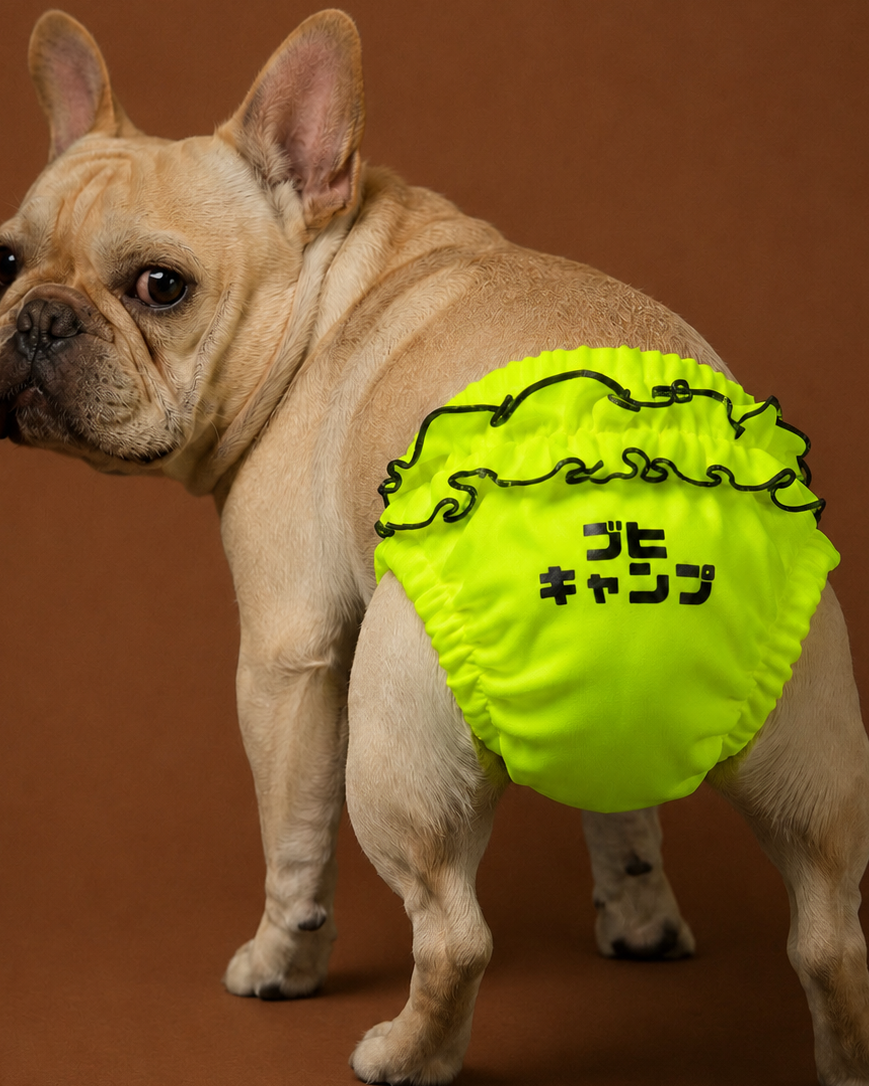 BUHI CAMP マナーパンツ Let's Party Panty【再販】
