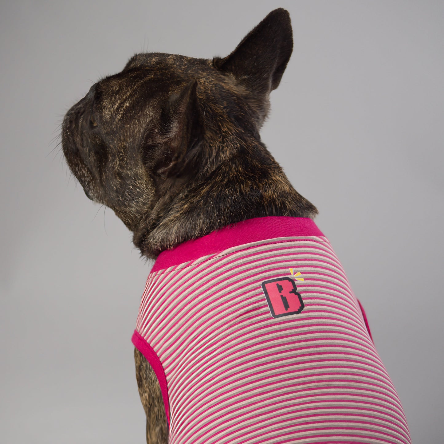 小さなBBタンクトップ【ブヒandボーダーズ】