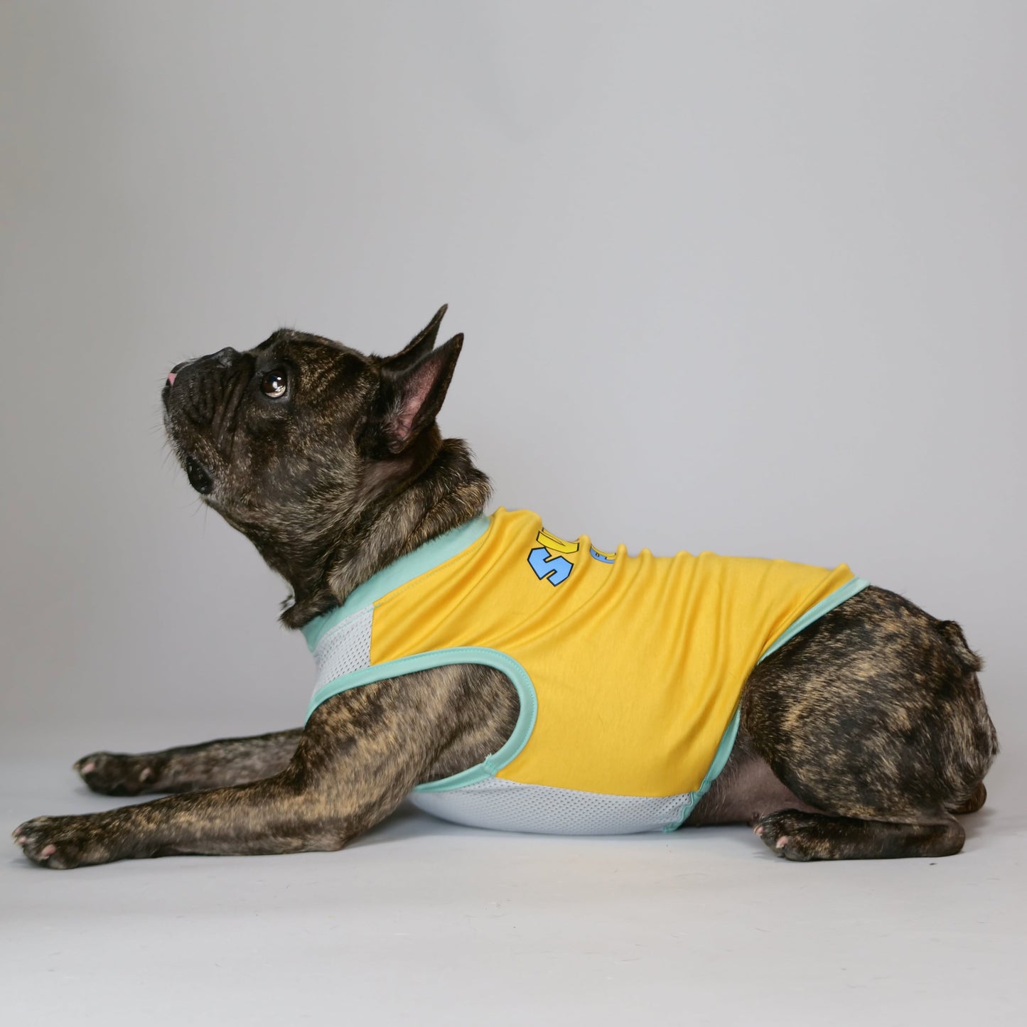 ブヒリズム・マスタード7