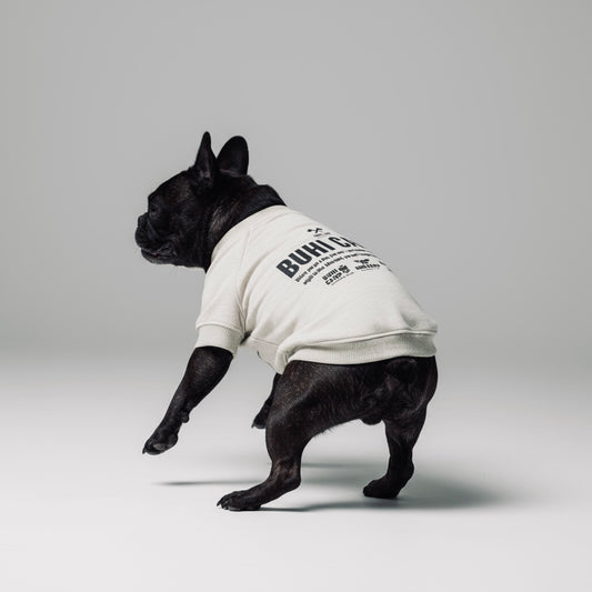 BUHI CAMP Logo ラグラン【ヒートブヒ仕様】