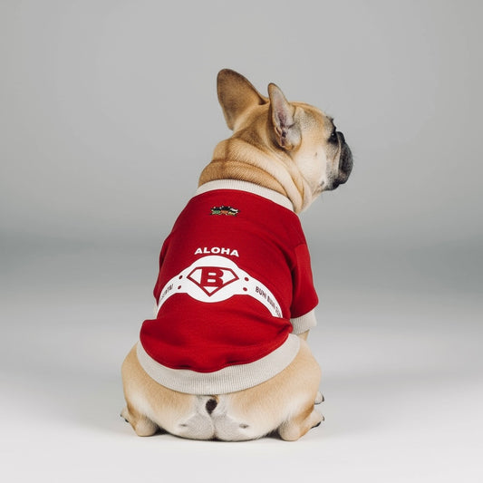 ブヒブヒ戦隊・ラグラントレーナー