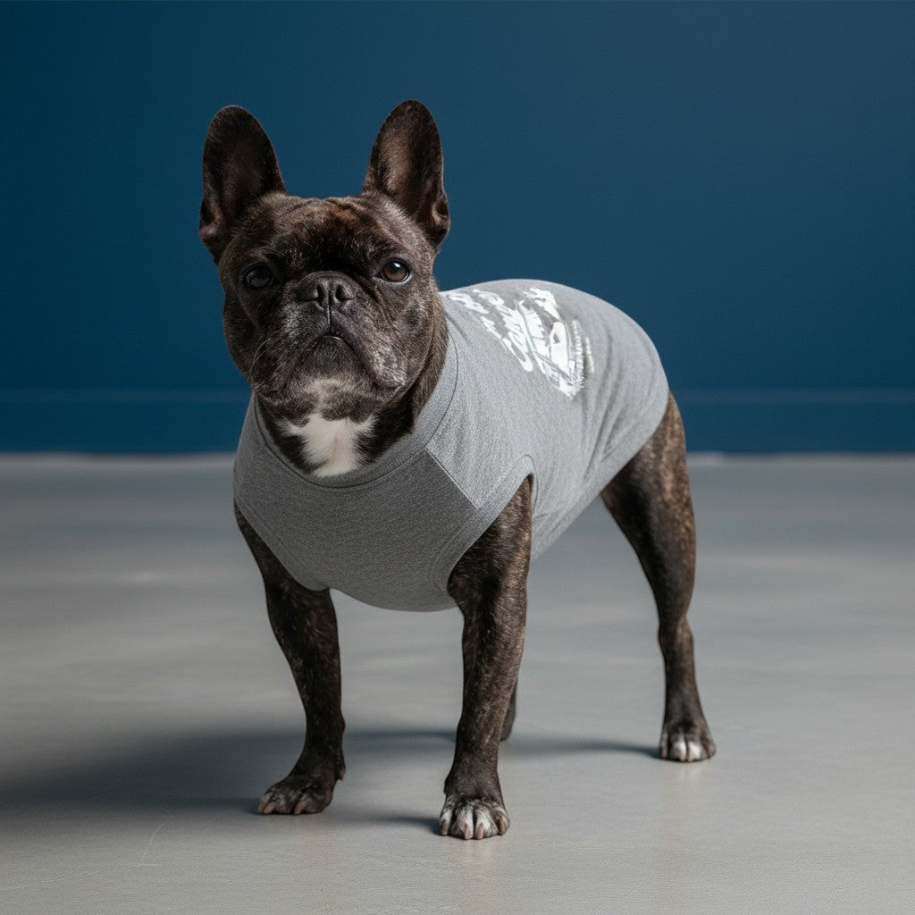 Buhiya.life grey 100% cotton tank top for dogs with "I'm Buhi Camper" graphic and a vintage van with surfboards.