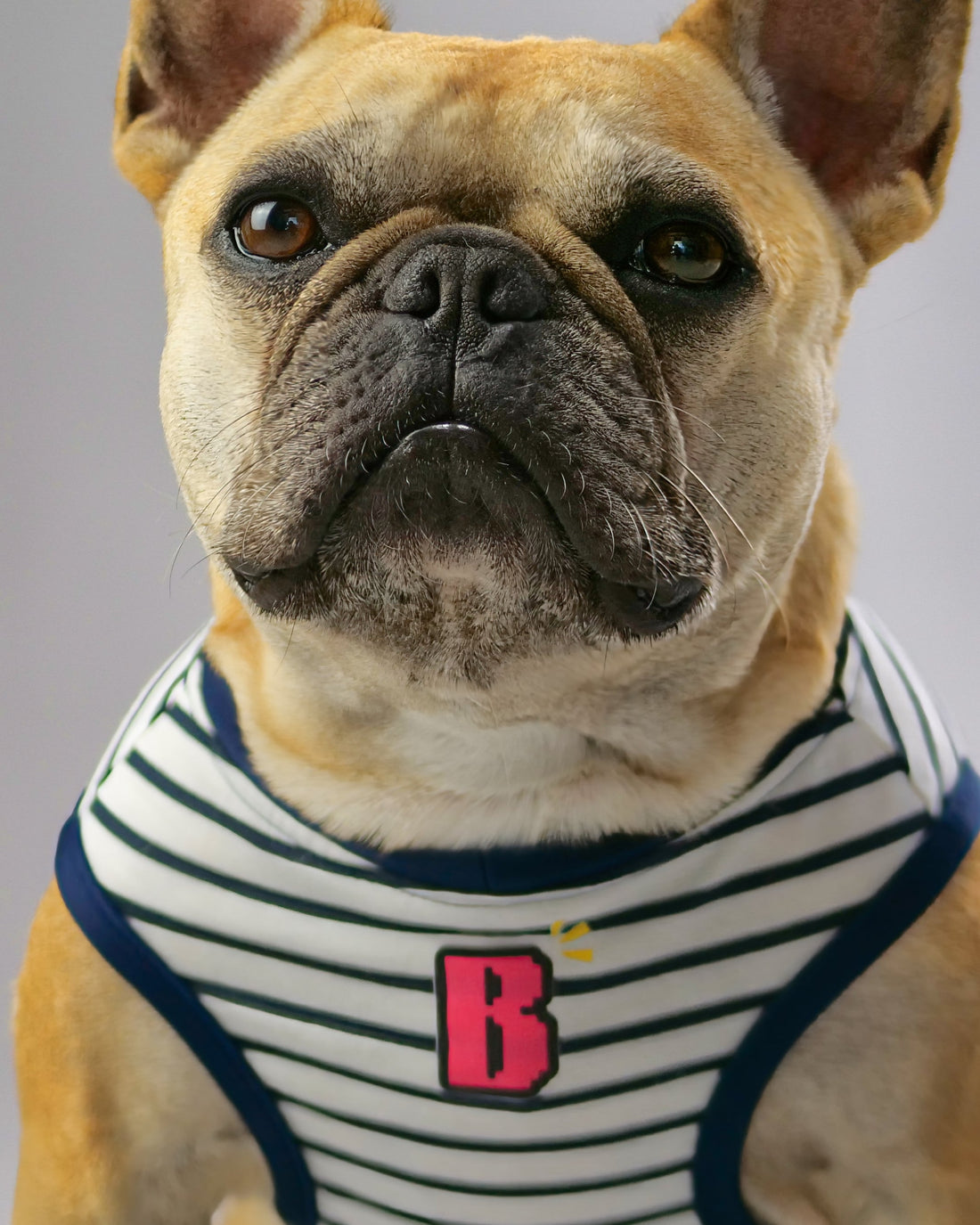 そのB、何のBですか？