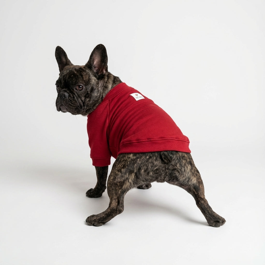 ヒートブヒ・マウンテン / ラグラン【ヒートブヒ100%仕様】