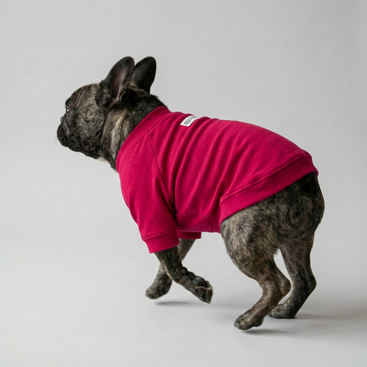 ヒートブヒ・ライト/ ラグラン【ヒートブヒ100%仕様】