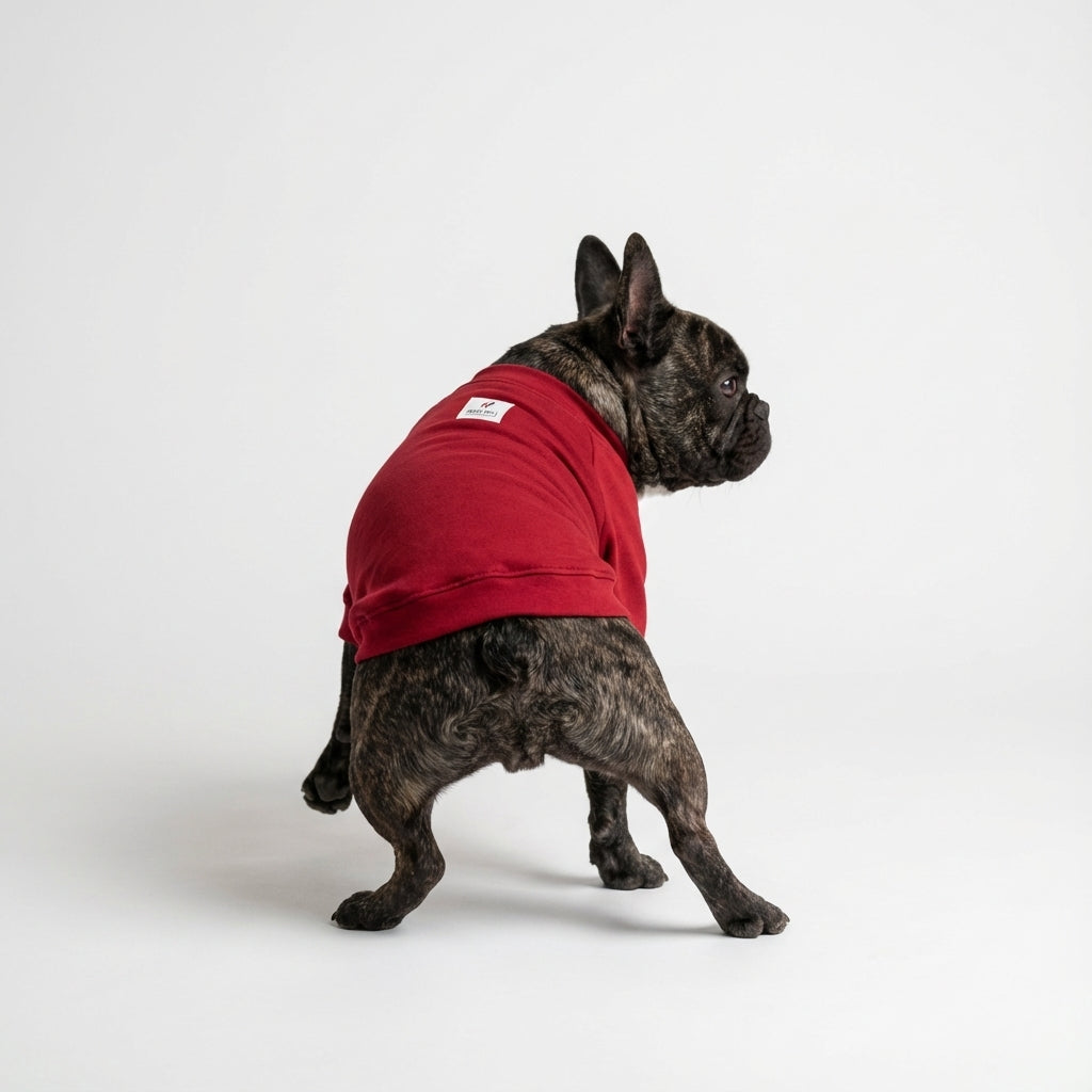 ヒートブヒ・マウンテン / ラグラン【ヒートブヒ100%仕様】