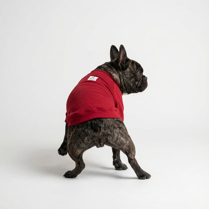 ヒートブヒ・マウンテン / ラグラン【ヒートブヒ100%仕様】