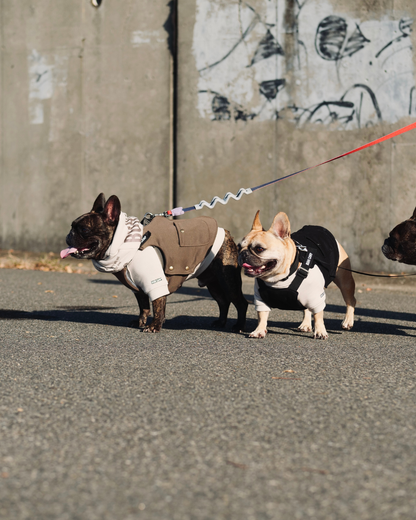 BUHI CAMP Logo ラグラン【ヒートブヒ仕様】