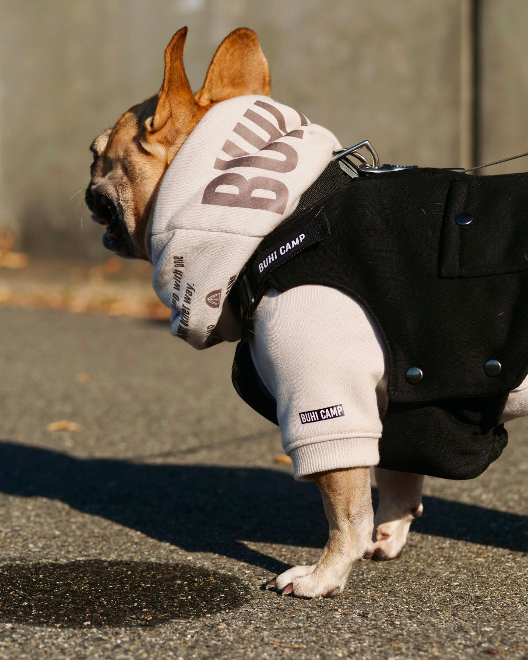 BUHI CAMP Logo ラグラン【ヒートブヒ仕様】