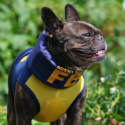 FBI【フレンチブルドッグ愛】Felicidadog