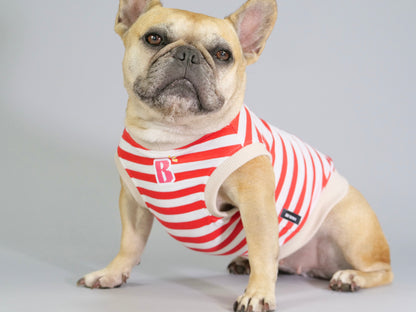 ３点セット・似て非なるものたち【ブヒアンドボーダーズ】