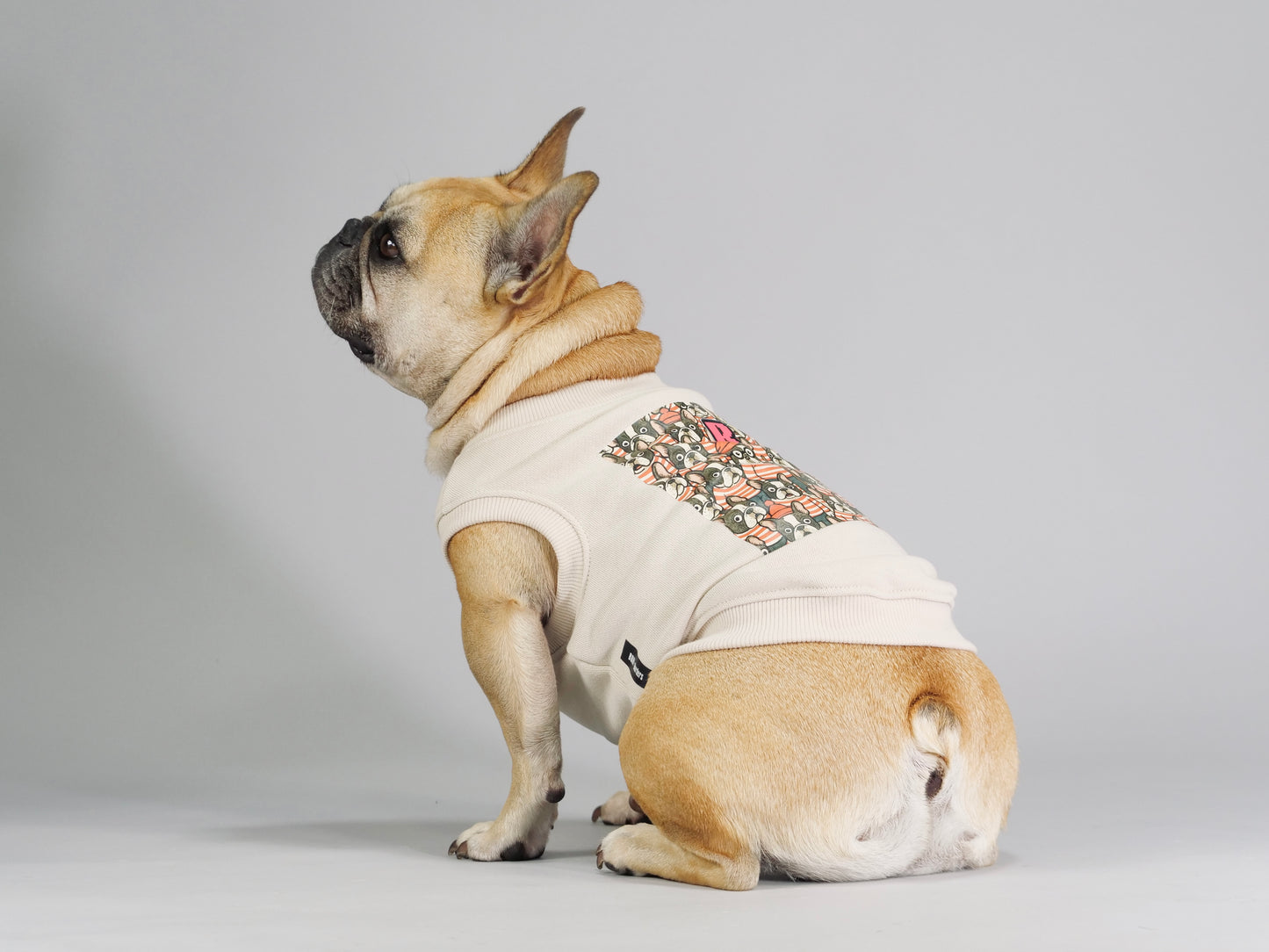 ３点セット・似て非なるものたち【ブヒアンドボーダーズ】