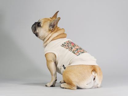 ３点セット・似て非なるものたち【ブヒアンドボーダーズ】