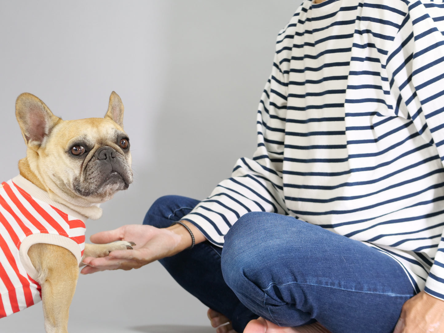 ３点セット・似て非なるものたち【ブヒアンドボーダーズ】