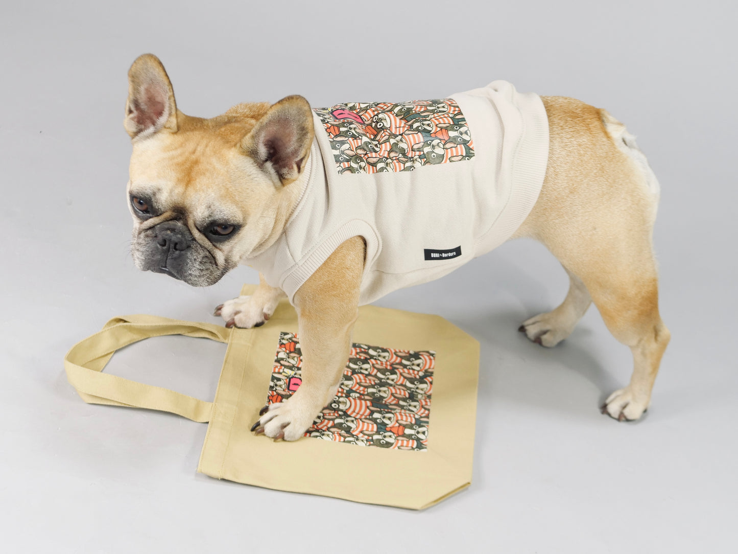 ３点セット・似て非なるものたち【ブヒアンドボーダーズ】