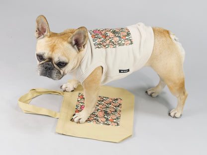 ３点セット・似て非なるものたち【ブヒアンドボーダーズ】