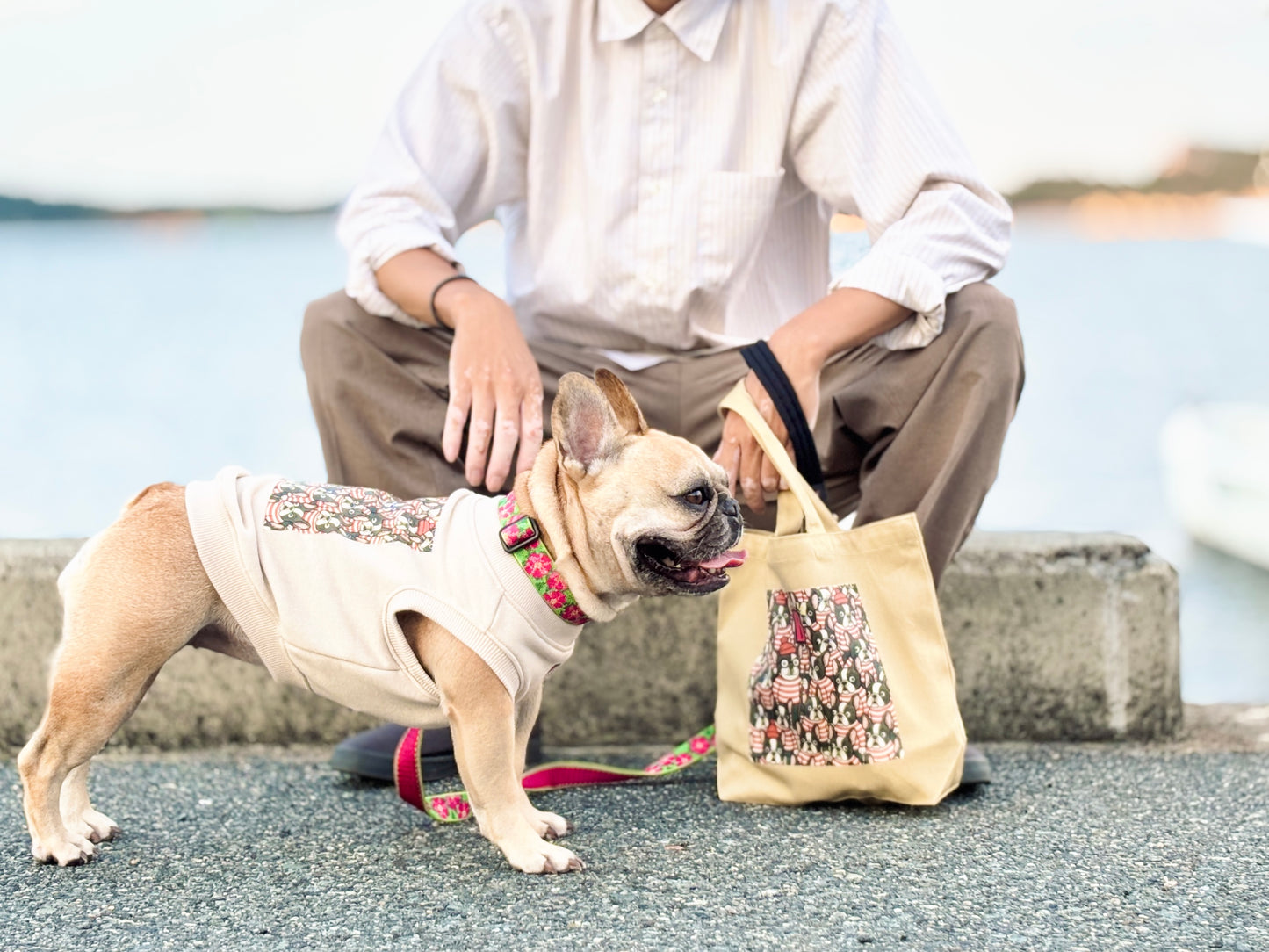 ３点セット・似て非なるものたち【ブヒアンドボーダーズ】