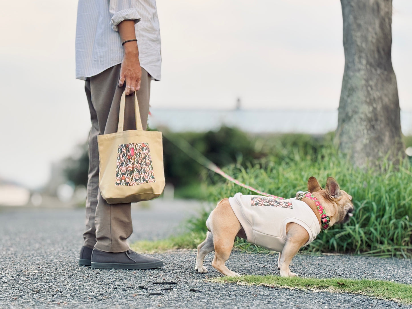 ３点セット・似て非なるものたち【ブヒアンドボーダーズ】