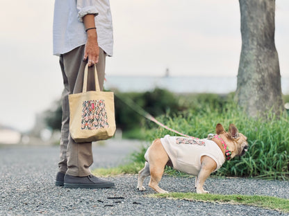 ３点セット・似て非なるものたち【ブヒアンドボーダーズ】