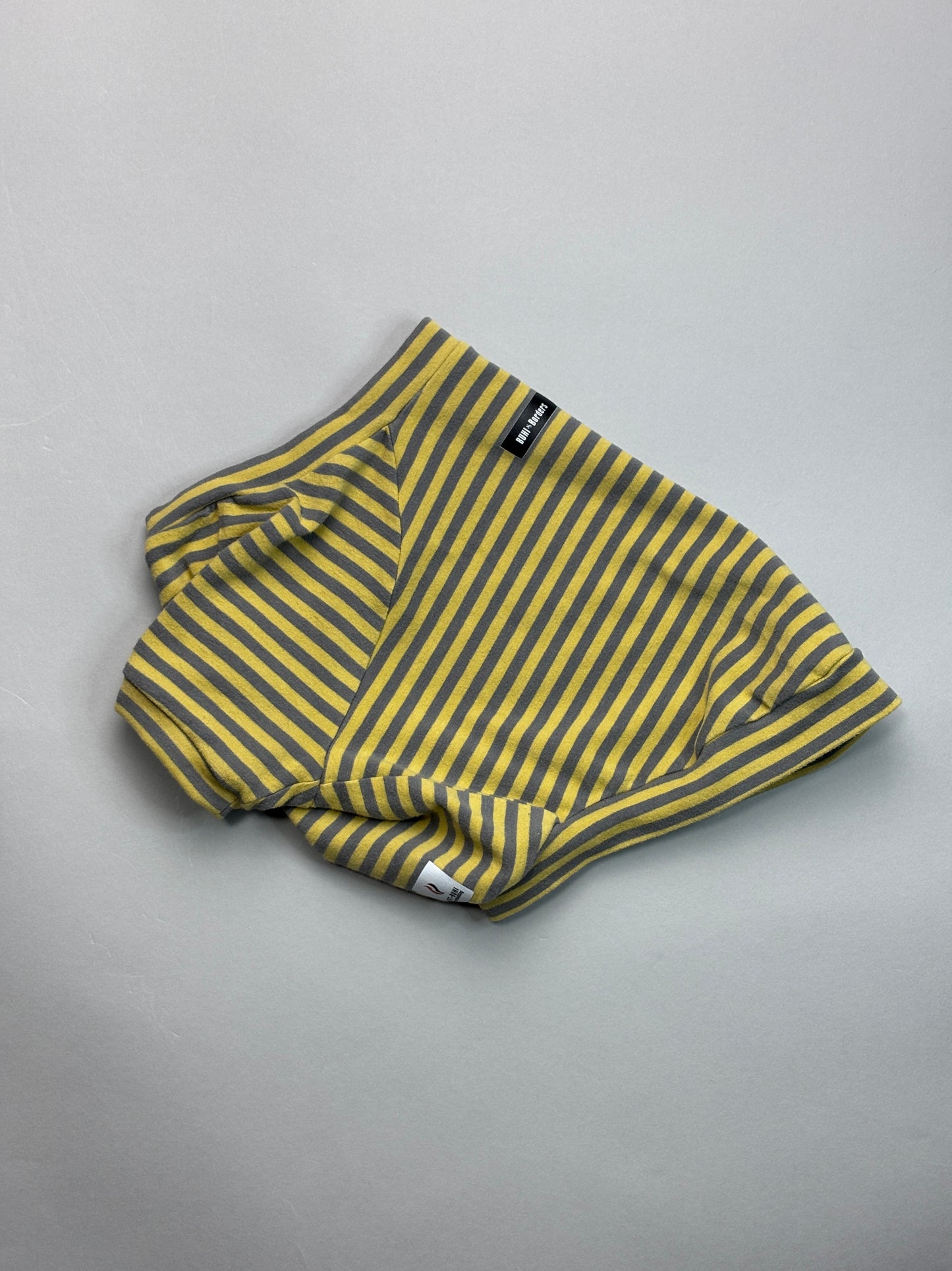 #ブヒ肯定感・ラグラン【ヒートブヒ仕様】