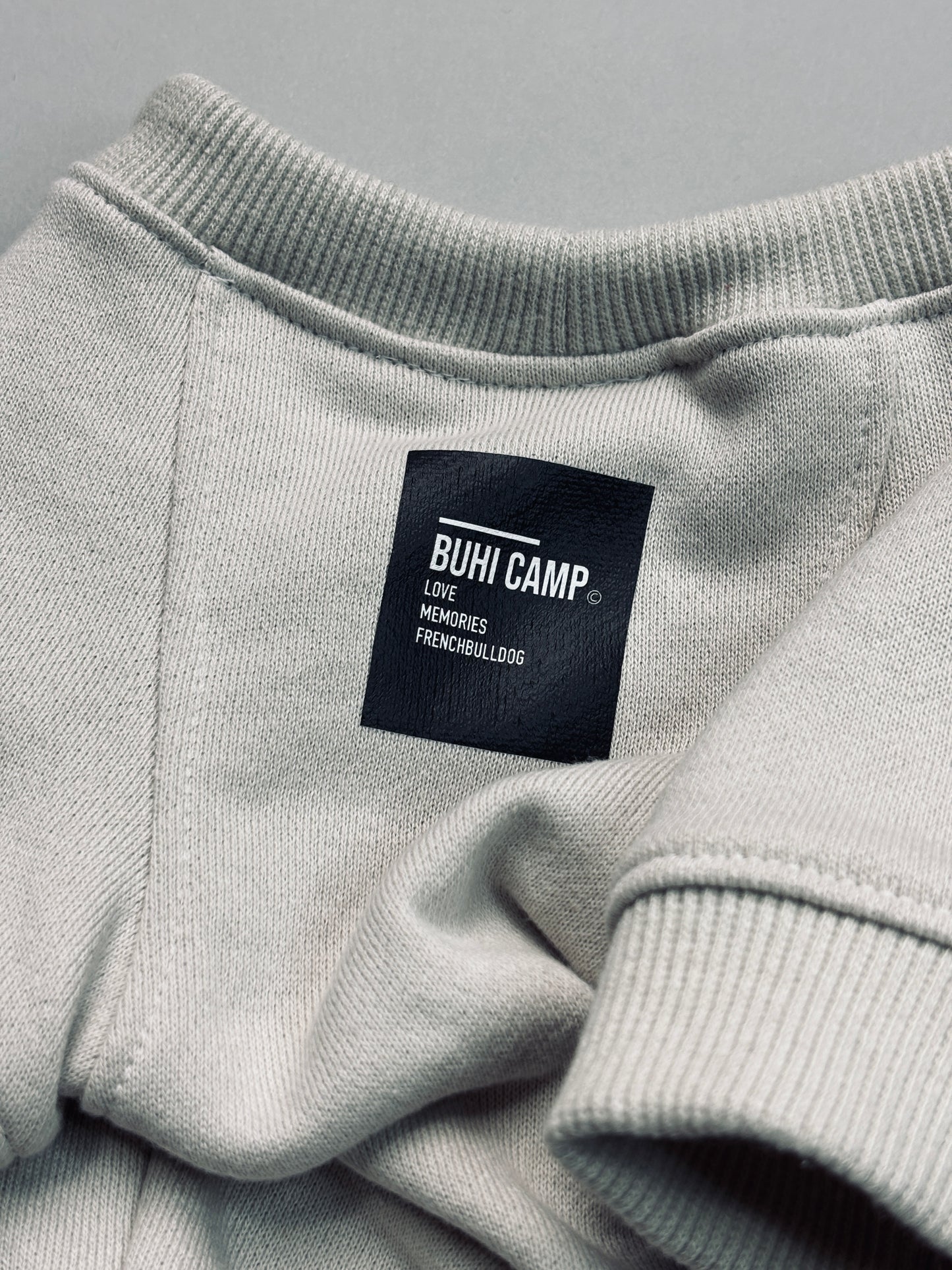 BUHI CAMP Logo ラグラン【ヒートブヒ仕様】