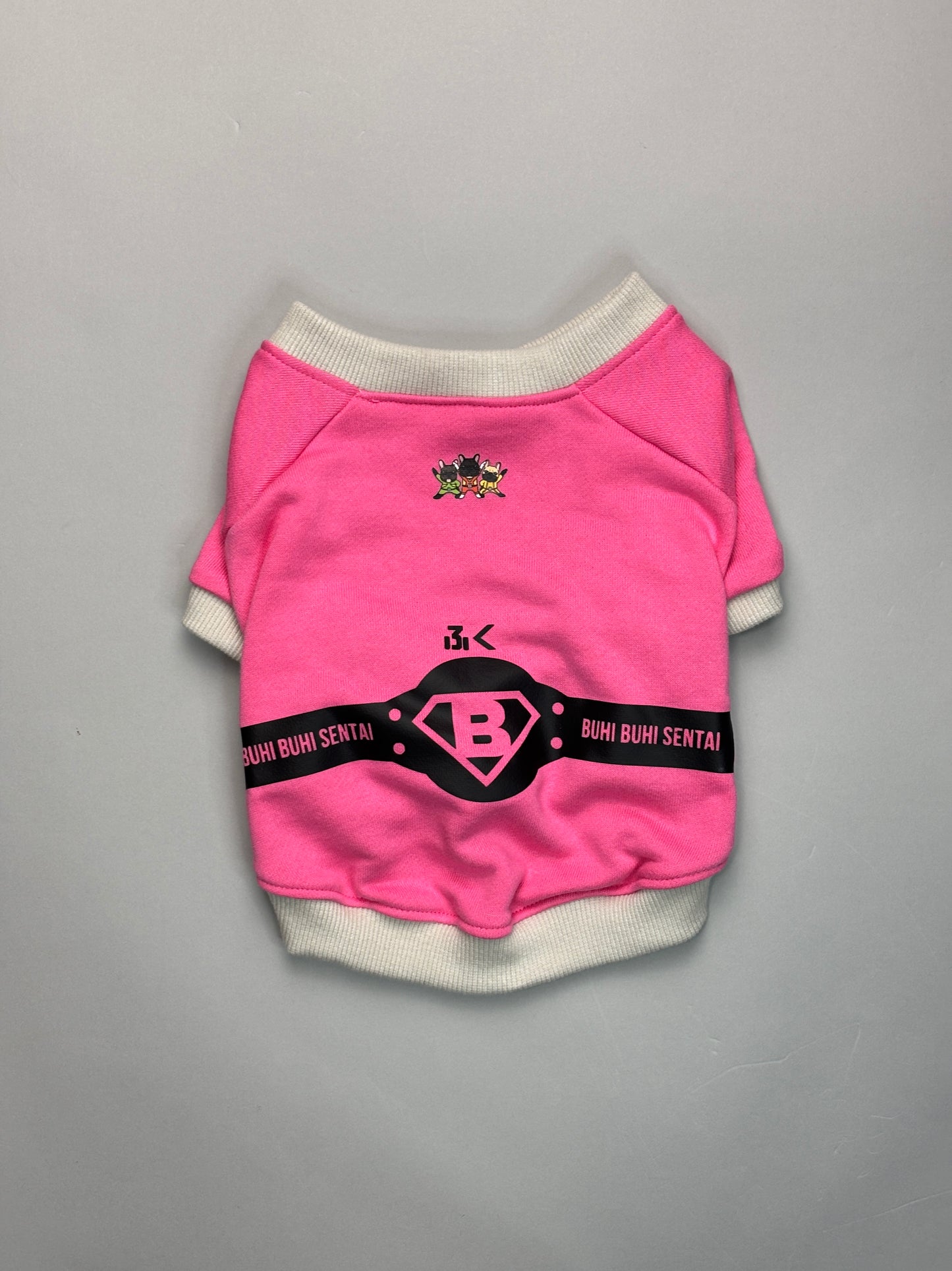 ブヒブヒ戦隊・ラグラントレーナー