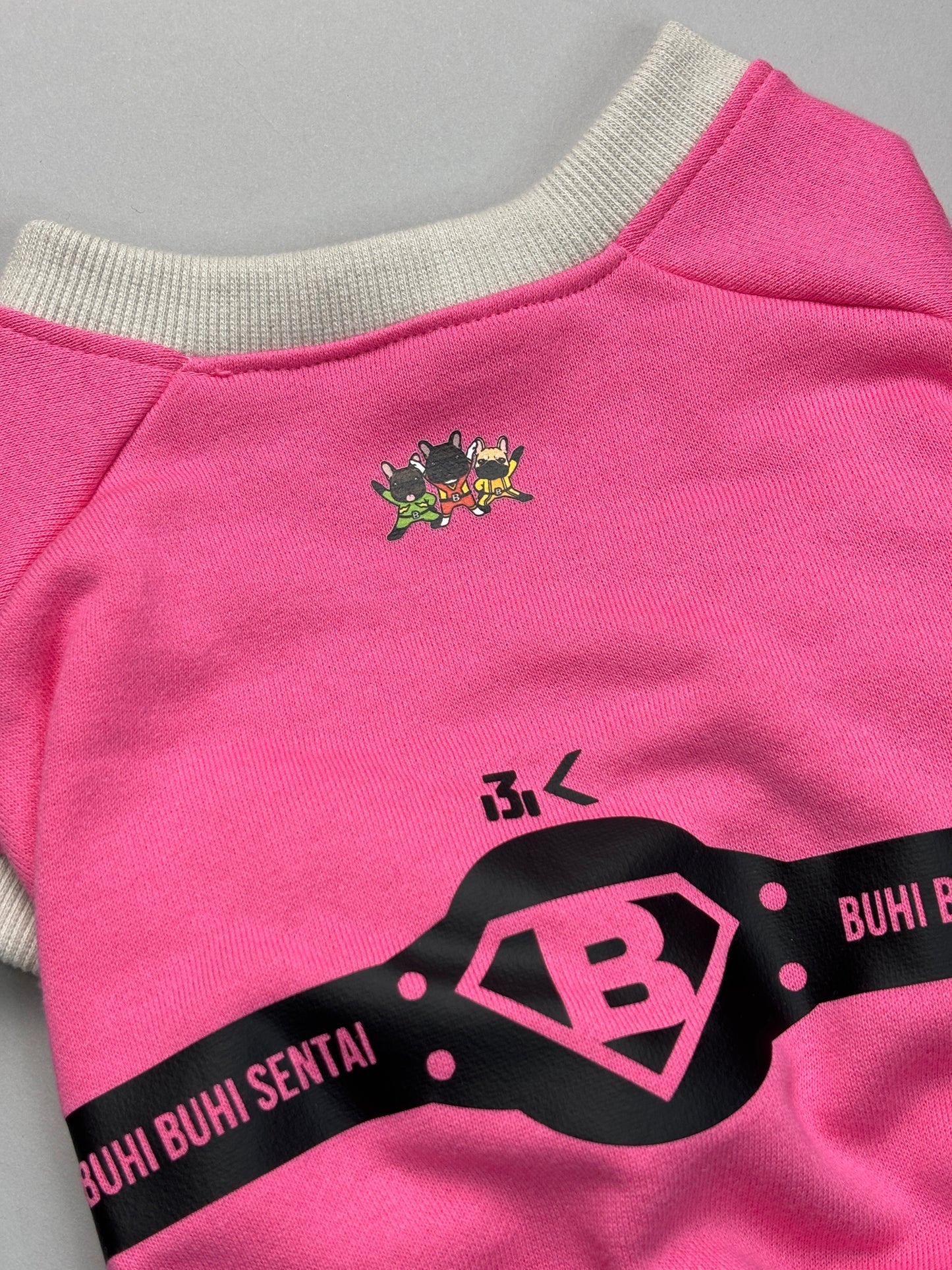 ブヒブヒ戦隊・ラグラントレーナー