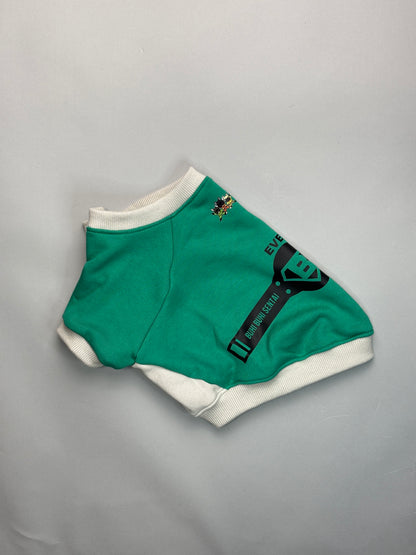 ブヒブヒ戦隊・ラグラントレーナー