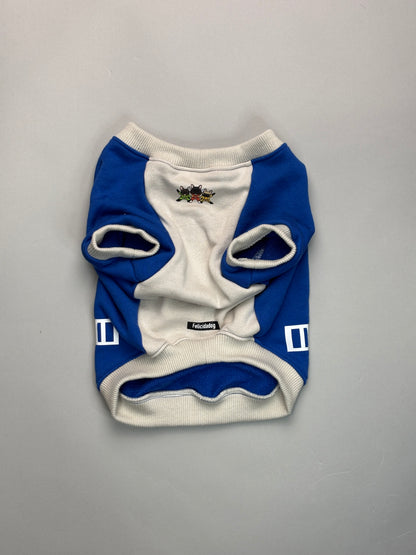 ブヒブヒ戦隊・ラグラントレーナー