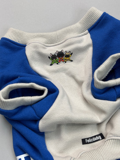 ブヒブヒ戦隊・ラグラントレーナー