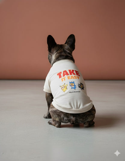 Take it easy ラグラントレーナー