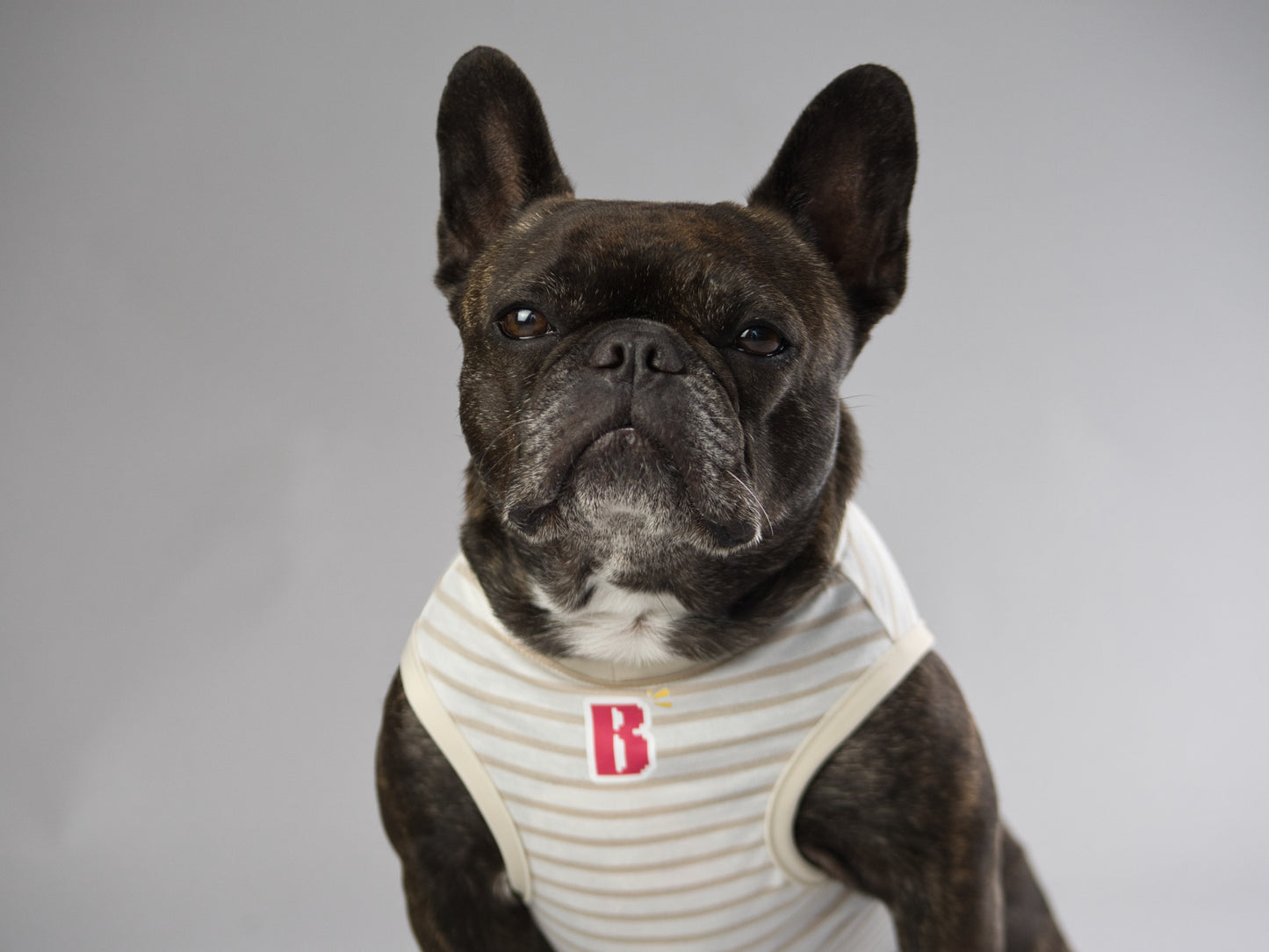 でかいBのタンクトップ【ブヒandボーダーズ】