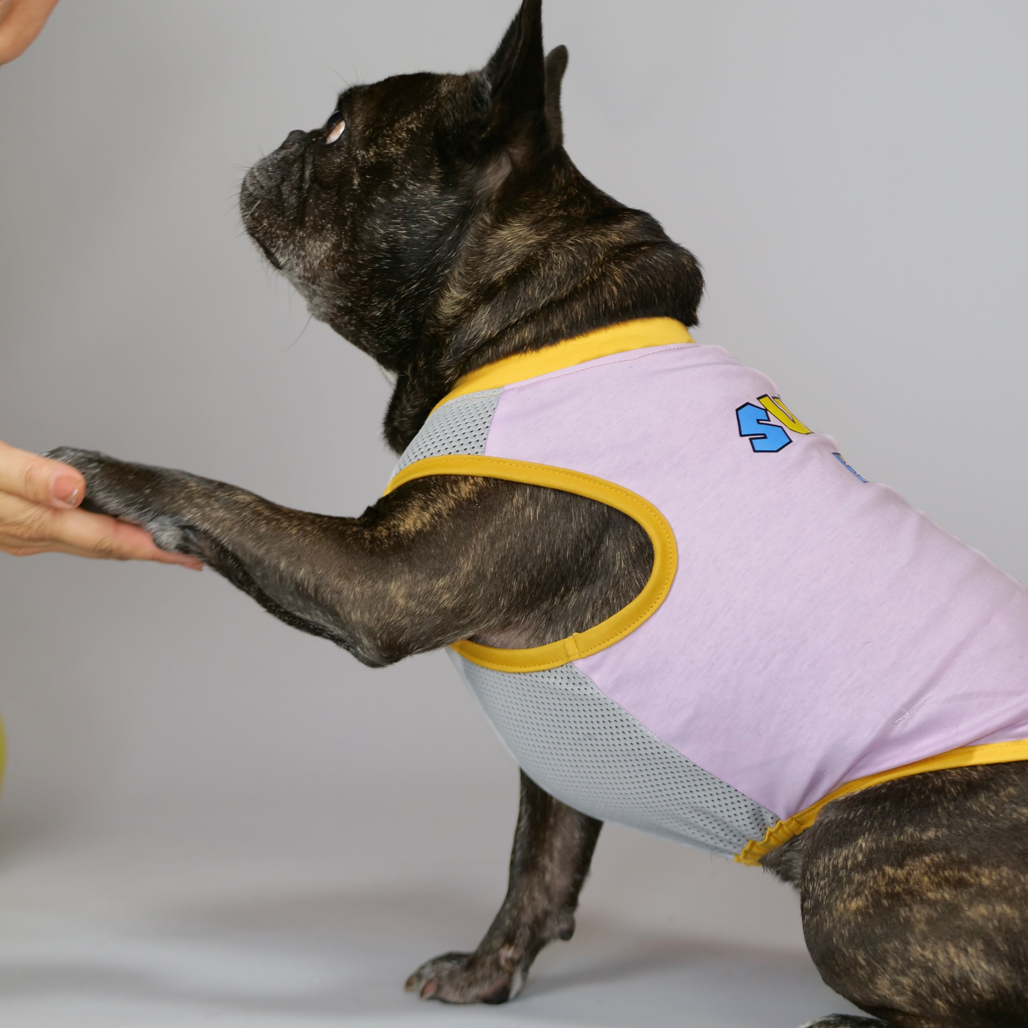 2025発売ラベンダーチャーム Amazon | ZX4R ZX-4R ZX4RR ZX-4RR 2024 23 オートバイ後輪