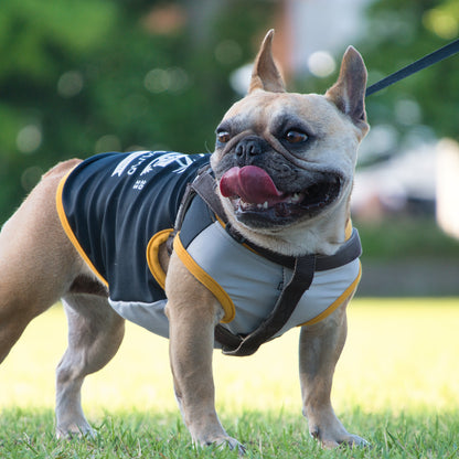 [ブヒリズム] BUHI CAMP アクティブタンク 2025