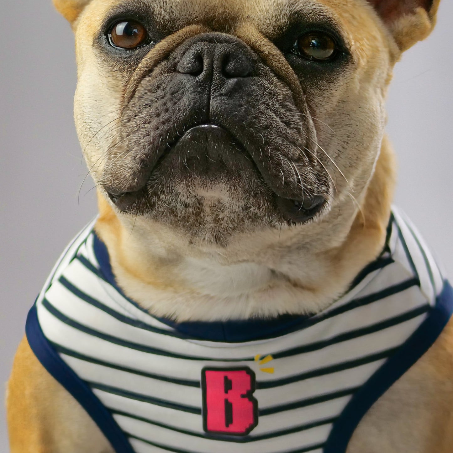 でかいBのタンクトップ【ブヒandボーダーズ】