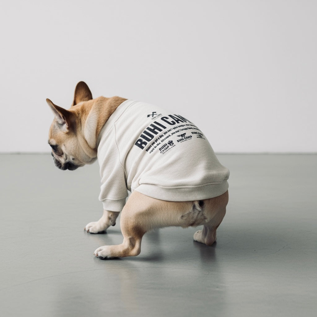 BUHI CAMP Logo ラグラン【ヒートブヒ仕様】