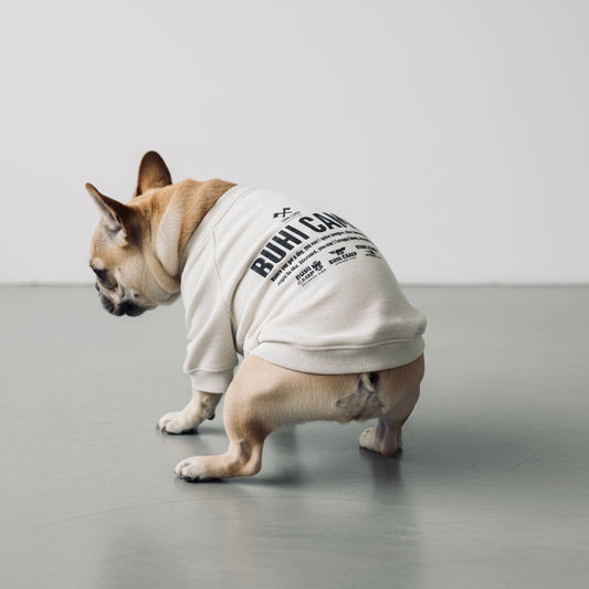 BUHI CAMP Logo ラグラン【ヒートブヒ仕様】