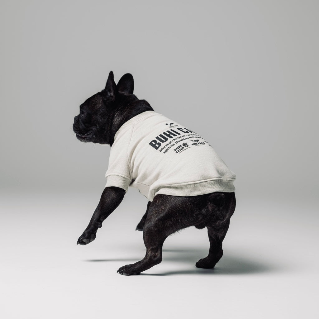 BUHI CAMP Logo ラグラン【ヒートブヒ仕様】