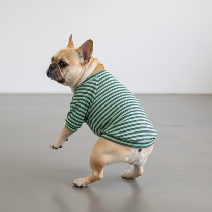 #ブヒ肯定感・ラグラン【ヒートブヒ仕様】