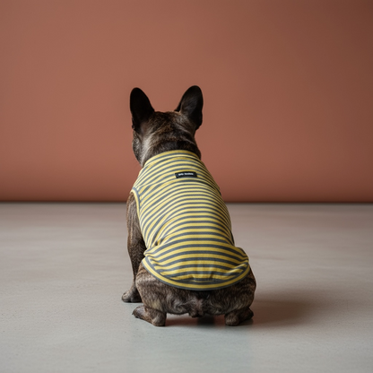 #ブヒ肯定感・ラグラン【ヒートブヒ仕様】