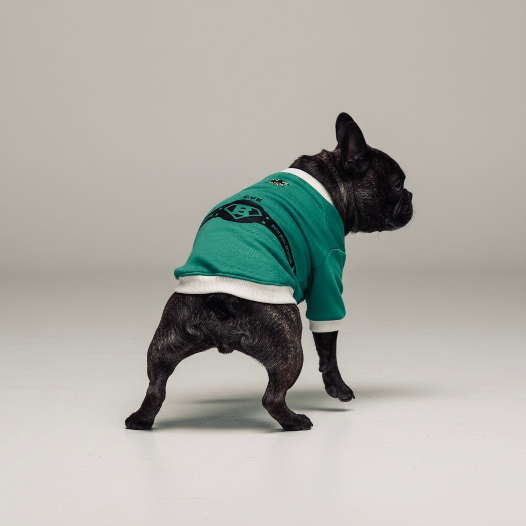 ブヒブヒ戦隊・ラグラントレーナー