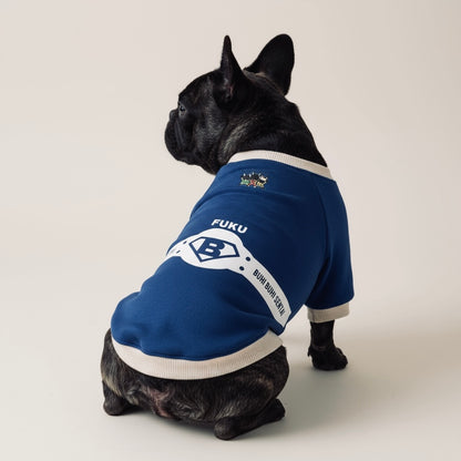 ブヒブヒ戦隊・ラグラントレーナー