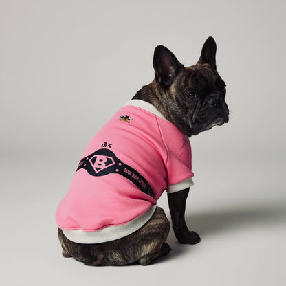 ブヒブヒ戦隊・ラグラントレーナー