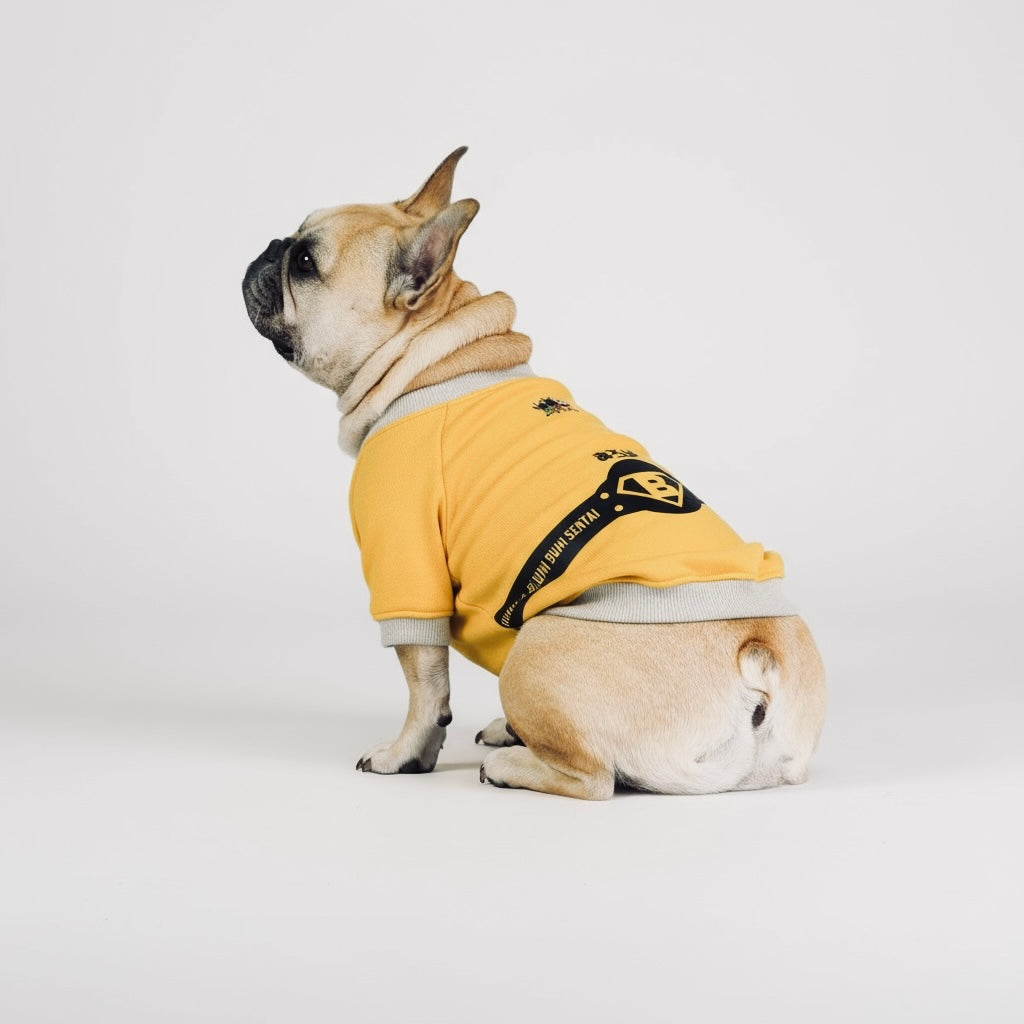 ブヒブヒ戦隊・ラグラントレーナー