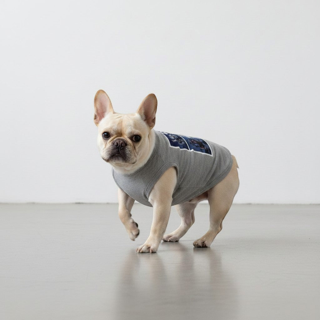 Buhiya.life grey cotton dog sweatshirt with a comic strip graphic on the back featuring dark heroes.