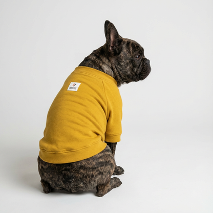 ヒートブヒ・マウンテン / ラグラン【ヒートブヒ100%仕様】