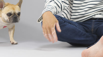 ３点セット・似て非なるものたち【ブヒアンドボーダーズ】